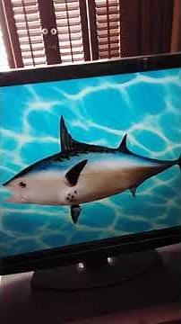 Spongebob squarepants 100 episodes