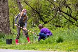 Virginia Tech earns 13th Tree Campus USA recognition
