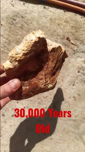 30,000 Year Old Swamp Kauri Tree Gum Nz #2023