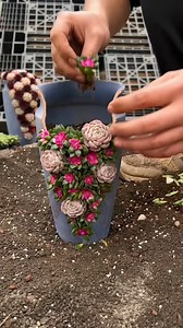 5.2M views · 159K reactions | Beautiful succulent DIY ideas | Succulents | Facebook