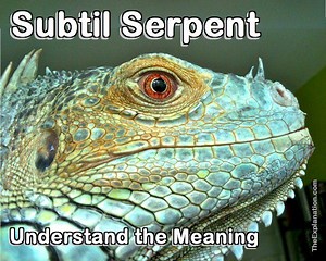 Meaning of the Subtil Serpent, Key to Divulge God's Plan