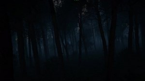 Scary Dark Forest, Woods Landscape