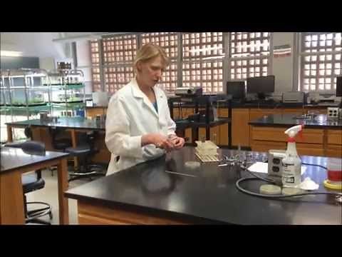 Tutorial: Inoculating a Liquid Culture