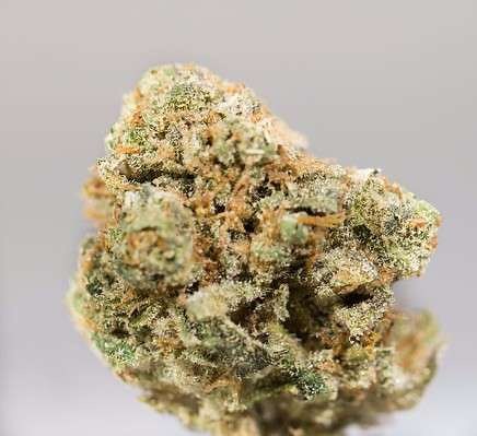 Mojito | Marijuana Strain Reviews