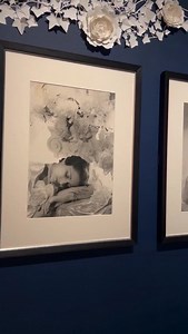 5K views · 157 reactions | A Rediscovered Gallery of Beauties ✨ In...