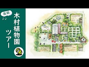 木村植物園ツアー 後編｜神奈川県湘南近くの園芸屋さん 木村植物園
