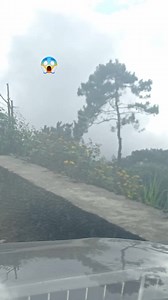 #Sapol ang pine tree🌲 Lightning ⚡ is real😱😱😱 | Foxtrot Bravo Jr.