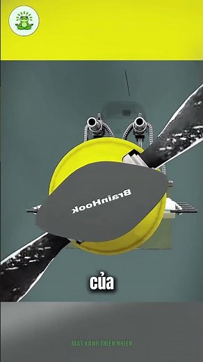 Decoding the Technology of Synchronizing Machine Guns on Aircraft!