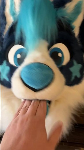 Meet My Furry Convention Roommates! #furries #fursuit #fandom