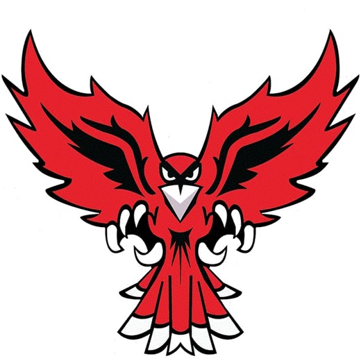 Football Recap: Palmyra-Macedon's  Victory  on Friday Extends Winning Streak to Ten