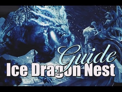 Dragon Nest Sea - Ice Dragon Nest 4 man (Guide)