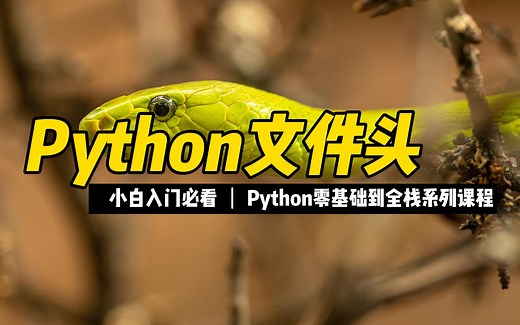 Python文件头 - 《python零基础到全栈系列》