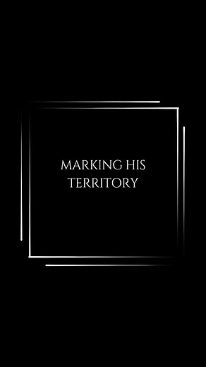 38 reactions · 4 comments | My eyes fall closed at the instant...