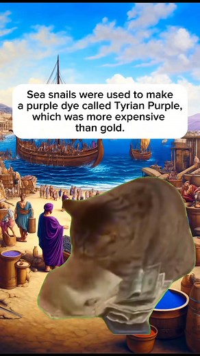 Facts about the Phoenicians you probably know #fyp #History #worldhistory #ancienthistory #historylover #fblifestyle | Simply Stated History