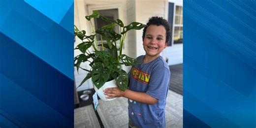 ‘He’s very, very intelligent’: 7-year-old becomes member of Mensa, international high IQ society