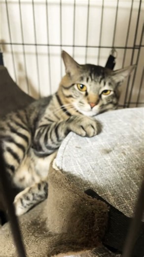 癒されたい時に見てね