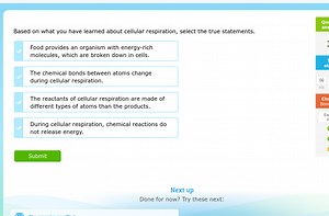 Based on what you have learned about cellular respiration, sele... | Filo