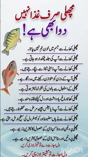 _Fish Is Not Just Food, It’s Medicine | 10 Amazing Health Benefits of Eating Fish_