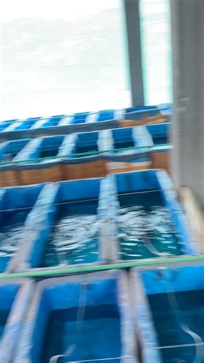 7.4K views · 94 reactions | কিছুটা দুঃসংবাদ কিন্তু সুসংবাদটা অনেক বড়। আমার ফুল কর্কশিটের সেটআপ ছেড়ে ছেড়ে দিব টোটাল ১১০ পিস আছে কারো লাগলে জানাবেন Phone number :- 01858206063 | Samin Safin | Facebook