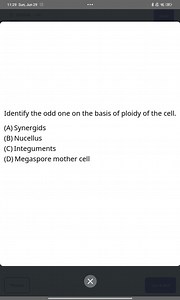Identify the odd one on the basis of ploidy of the cell.(A) S... | Filo
