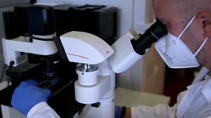 Isolation and Direct Neuronal Reprogramming of Mouse Astrocytes