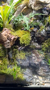 15 reactions | Plants everywhere!! Plants are growing in popularity...