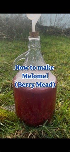 Delicious Berry Mead Recipe You Can Brew at Home