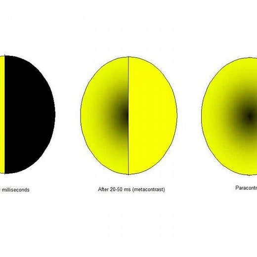 Simultaneous contrast (Psychological effect: contrast effect)
