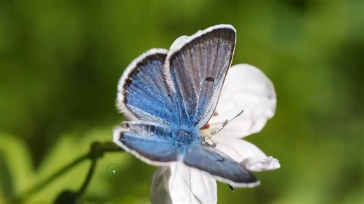DLL全修复免费下载 游戏文件缺失或损坏 打不开游戏 找不到dll文件怎么办