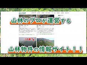 山を売るなら 山を買うなら 山いちば