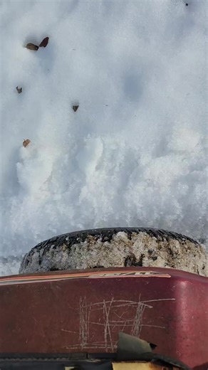 #Murray #lawnmower #tractorGod1 #country🤠 @og.nick5 @The Moto Freak @🌾Dryden🌾 @Yktv.jay @Tucker Curtsinger🦆 @𝓒𝓱𝓪𝓼𝓮 @gbranconnier @Misfit 383 @⚡️ Oren⚡️