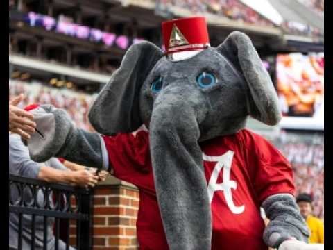 Looney Tunes Back In Action Elephant Trumpet Scene