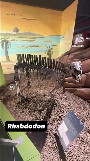 Rhabdodon: Powerful Herbivore that Roamed Late Cretaceous Europe