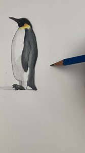 12K views · 362 reactions | Draw a baby penguin!  #drawinglesson #howtodraw #drawing #drawingtutorial #drawingsketch #drawingart #drawingchallenge #art #artwork #artoftheday #artistic #sketch #sketching #sketchcomedy #laviarts #girldrawng #art #fyp | Mark Liam Smith | Facebook