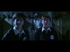 HARRY POTTER SERIES: Hermione turns into a cat (2002)