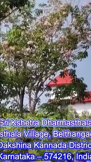 Dharmasthala Manjunatha Temple Karnataka | Full Darshan & Temple Tour 🙏
