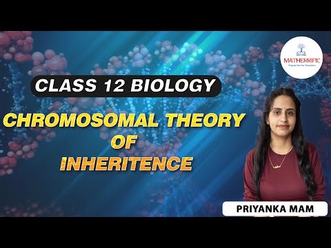 CHROMOSOMAL THEORY FOR CLASS XII By MATHERRIFIC | PRIYANKA MAM | NEET BIOLOGY|