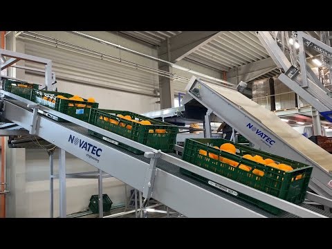 Novatec SA | Advanced Sorting & Processing Technology for Fresh Produce | Berlin Fruit Logistica.