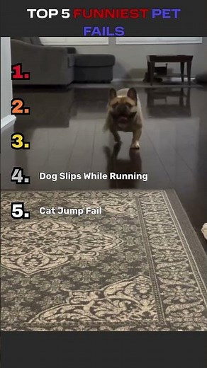 Top 5 Funniest Pet Fails 🐶🐱