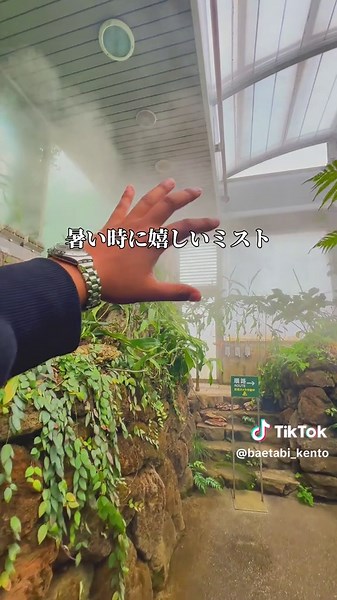 熱帯環境植物館の魅力を徹底紹介