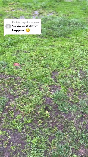 Replying to @thegrt1 skid marks were still there! #slippinginthemud #stuckinthemud #slipnslide #mudwrestling #flooded #didntbreakahip #flipflopsandraindontmix #naturalconsequences #bombcyclone2023 #atmosphericriver #puddles #sandalsintherain