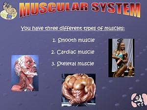 Skeletal & Muscualr Systems