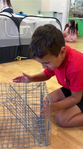 Start them young! Trap training at the public library today! #teamedgarandivy #criticalcarerescue #thehousethatesbeebuilt #corpuschristitexas #Buddysproject
