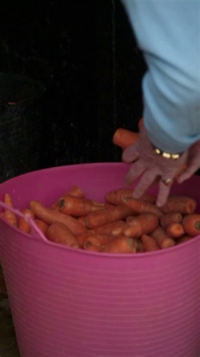 Tune in tonight at 10:45pm for the second episode of Champions Full Gallop Season 2! 📺 Can’t get enough racing action? You can also stream the entire series now on ITVX. 🏇 | Wolverhampton Racecourse