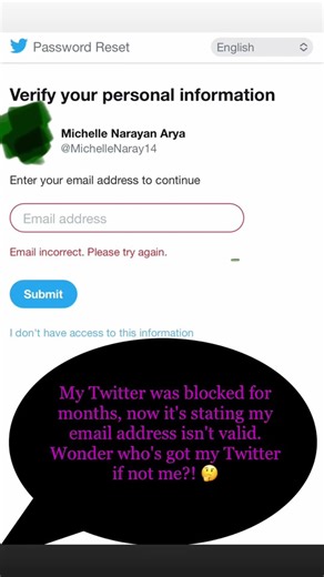 How to Reset Twitter Password When Email is Unrecognized