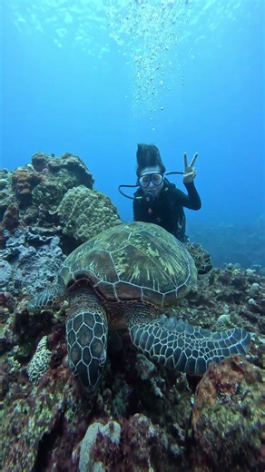 SCUBA DIVING EXPERIENCE|DEEP SEA EXPLORATION| UNDERWATER ADVENTURE