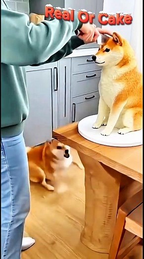 Real vs Fake Cake Challenge 2026 |Amazing CakeCutting Video 🥰😱