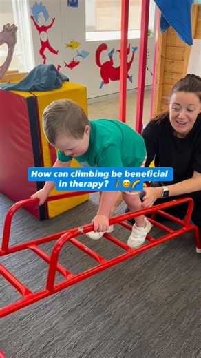 3.1K views | Climbing isn’t just fun for kids, it’s one of the most...