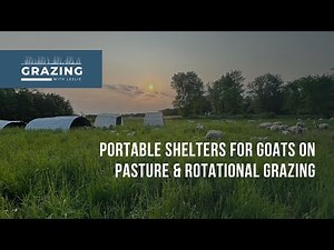 Portable shelters for goats on pasture, rotational grazing