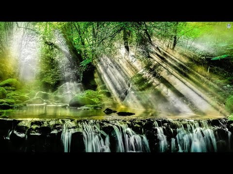 Relaxing Piano Music with Birds Singing 🌿 8 hr Beautiful Nature Sounds for Sleep and Stress Relief